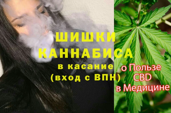 гашик Дмитриев