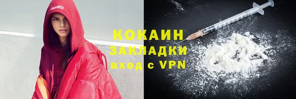 ГАЛЛЮЦИНОГЕННЫЕ ГРИБЫ Ельня