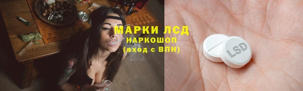 гашик Дмитриев