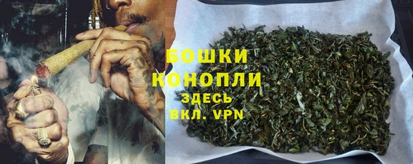 гашик Дмитриев