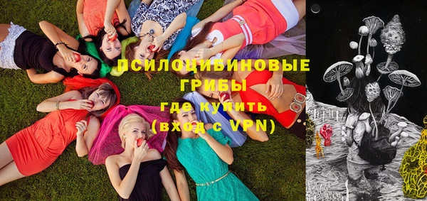 стафф Дмитровск