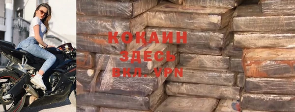 гашик Дмитриев