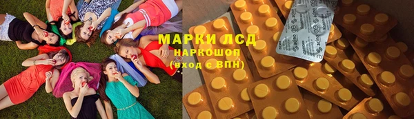 гашик Дмитриев