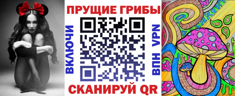 Купить  Нижняя Тура  Псилоцибиновые грибы Psilocybine cubensis 